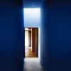 blu di le corbu